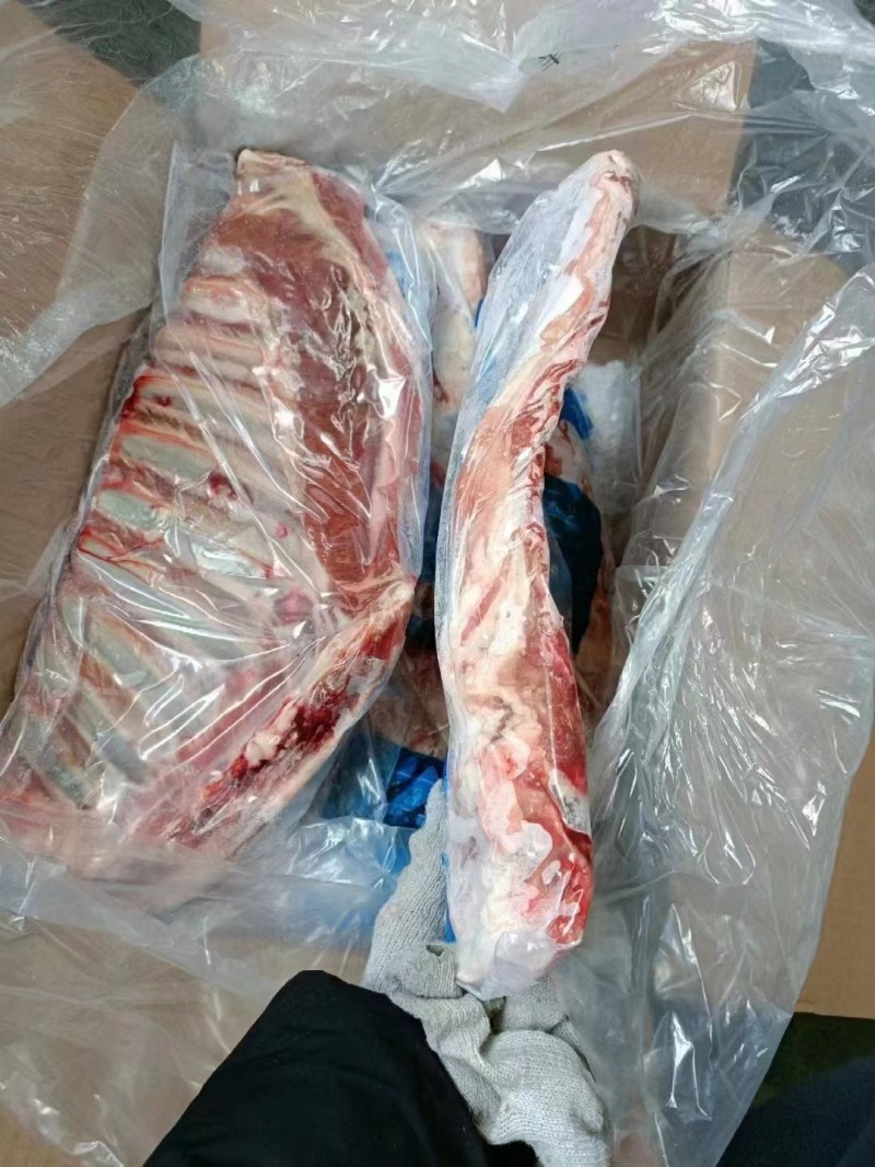 国产精修羊排