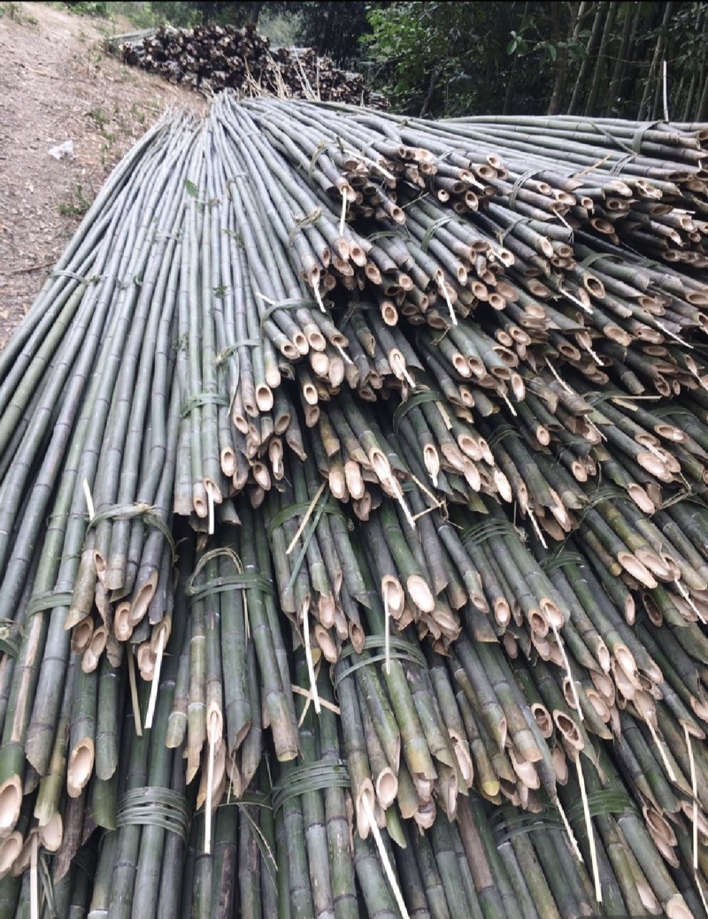 竹山基地，常年供应各种规格竹竿，全国发货，质量保证