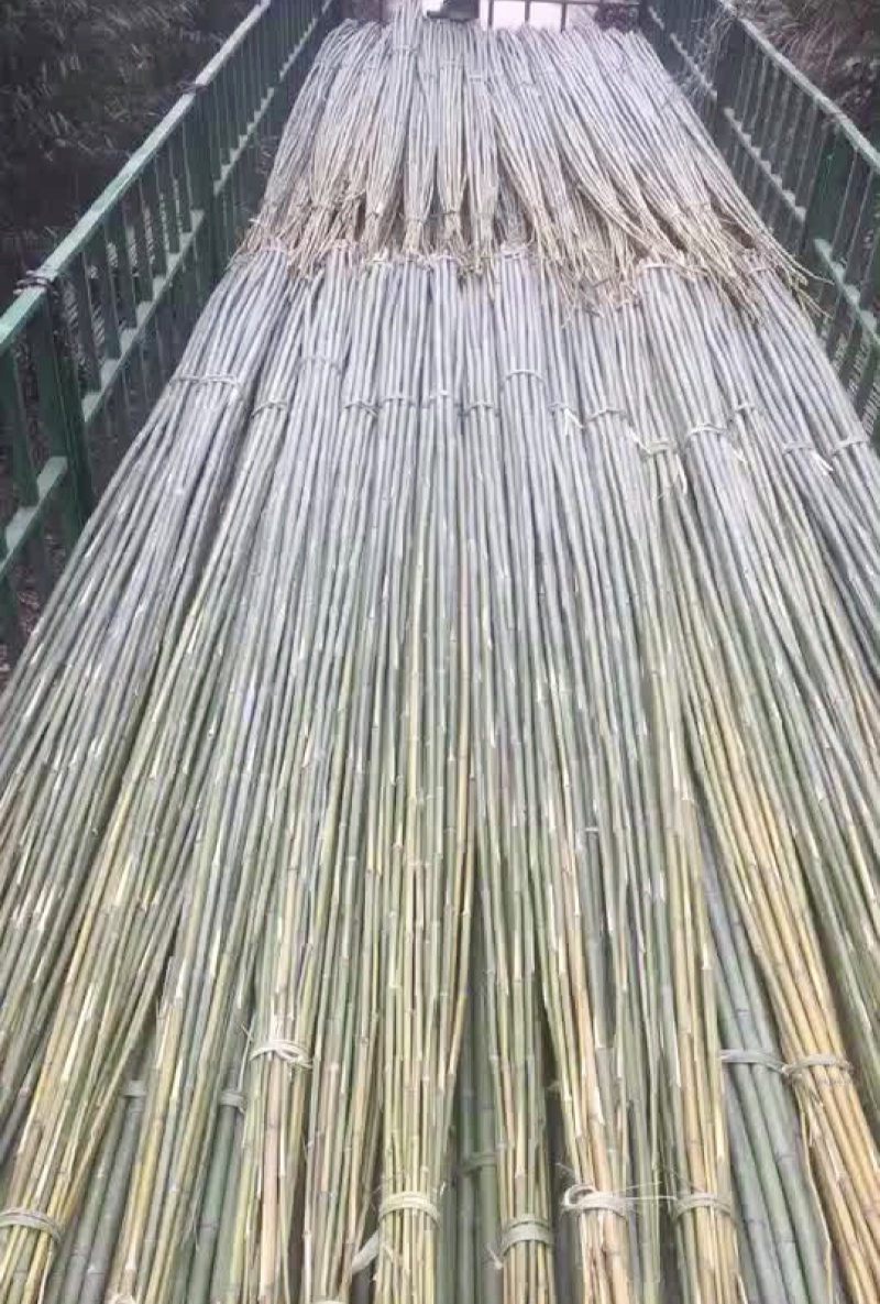 竹山基地，常年供应各种规格竹竿，全国发货，质量保证