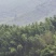 竹山基地，常年供应各种规格竹竿，全国发货，质量保证