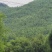 竹山基地，常年供应各种规格竹竿，全国发货，质量保证