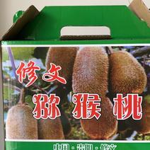 贵州修文猕猴桃大量上市价格质量保证，