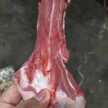 加肉羊棒骨