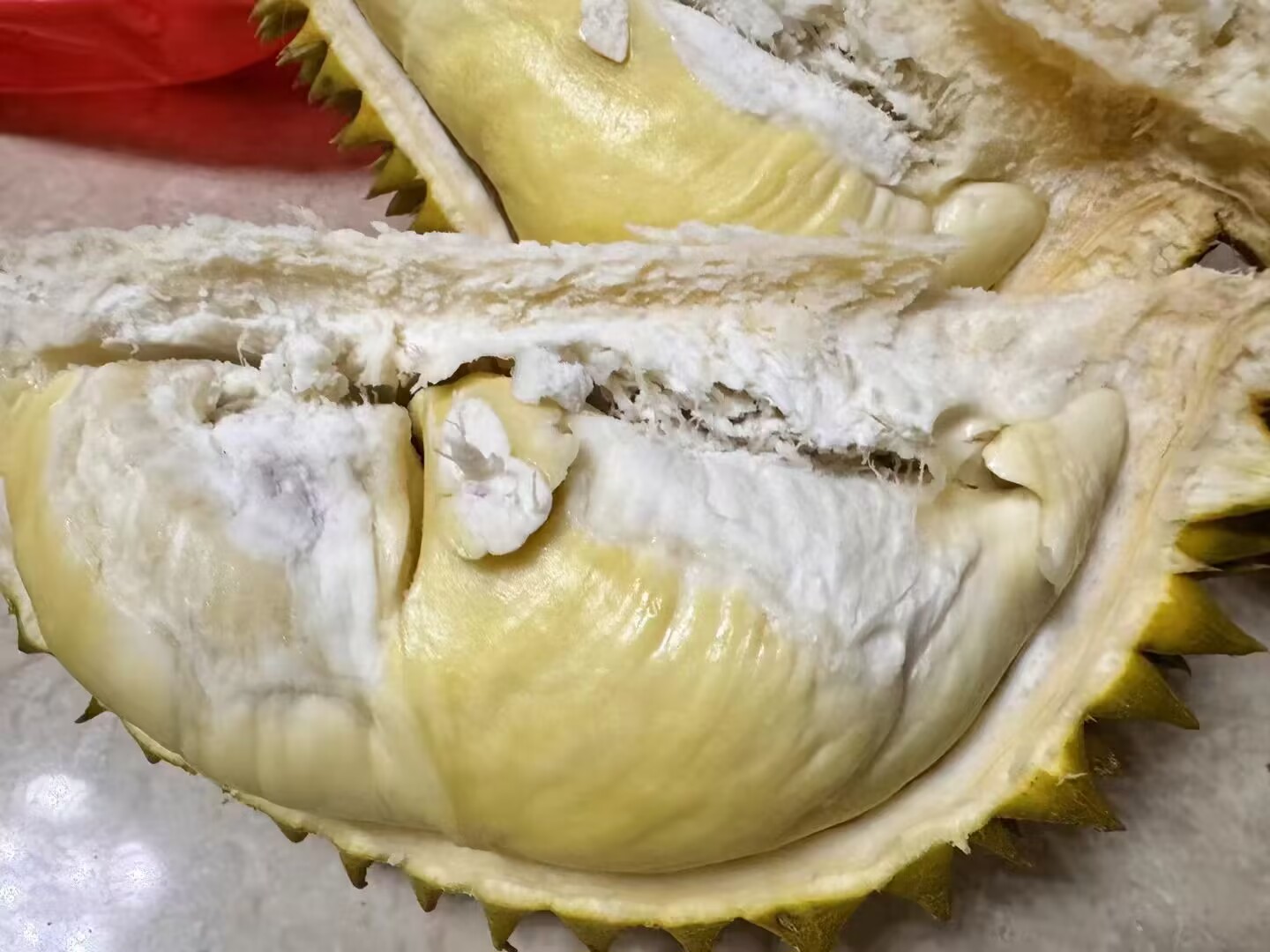 图中展示两种榴莲果肉的切面,对比果肉颜色、质地、纤维分布等细节 干尧榴莲与金枕头榴莲果肉切面对比图