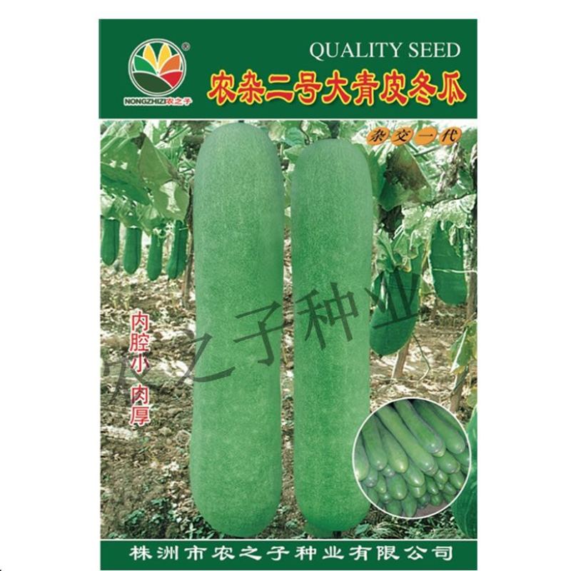 农杂二号青皮冬瓜种子杂交中熟耐热厚肉内腔小产量高春秋季