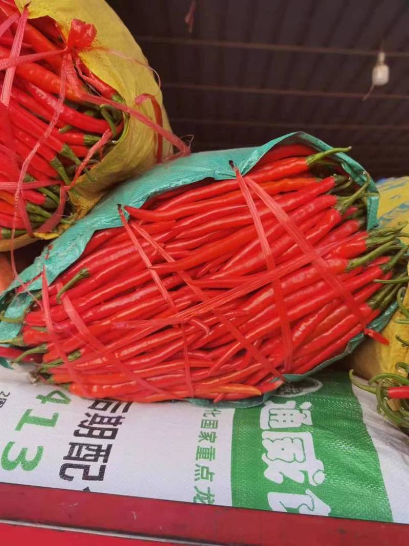 红线椒大量有货价格美丽有需要的老板联系我