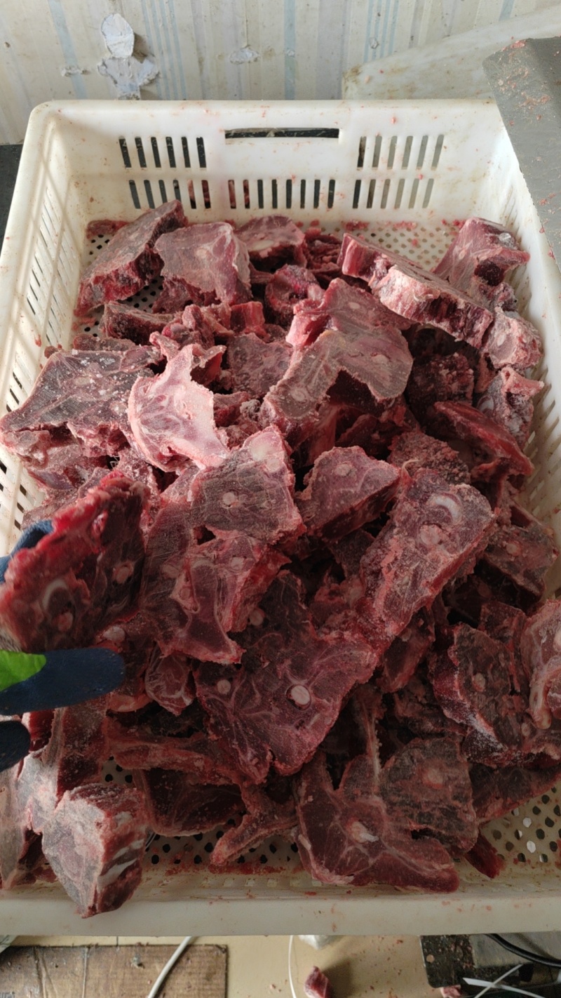 多肉羊蝎子