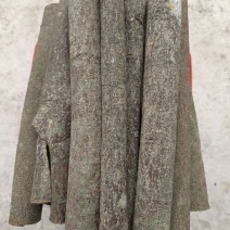 十公分桂段，干净利落，香味浓郁持久。欢迎各位老板把它娶回家。