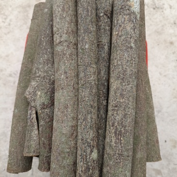 十公分桂段，干净利落，香味浓郁持久。欢迎各位老板把它娶回家。