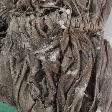 牛百叶鲜货鲜冻冻货都有