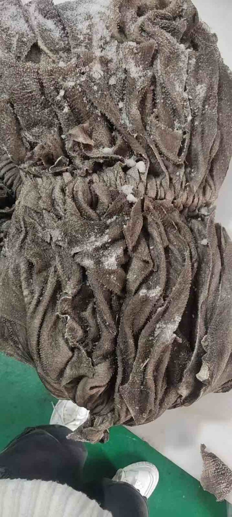 牛百叶鲜货鲜冻冻货都有