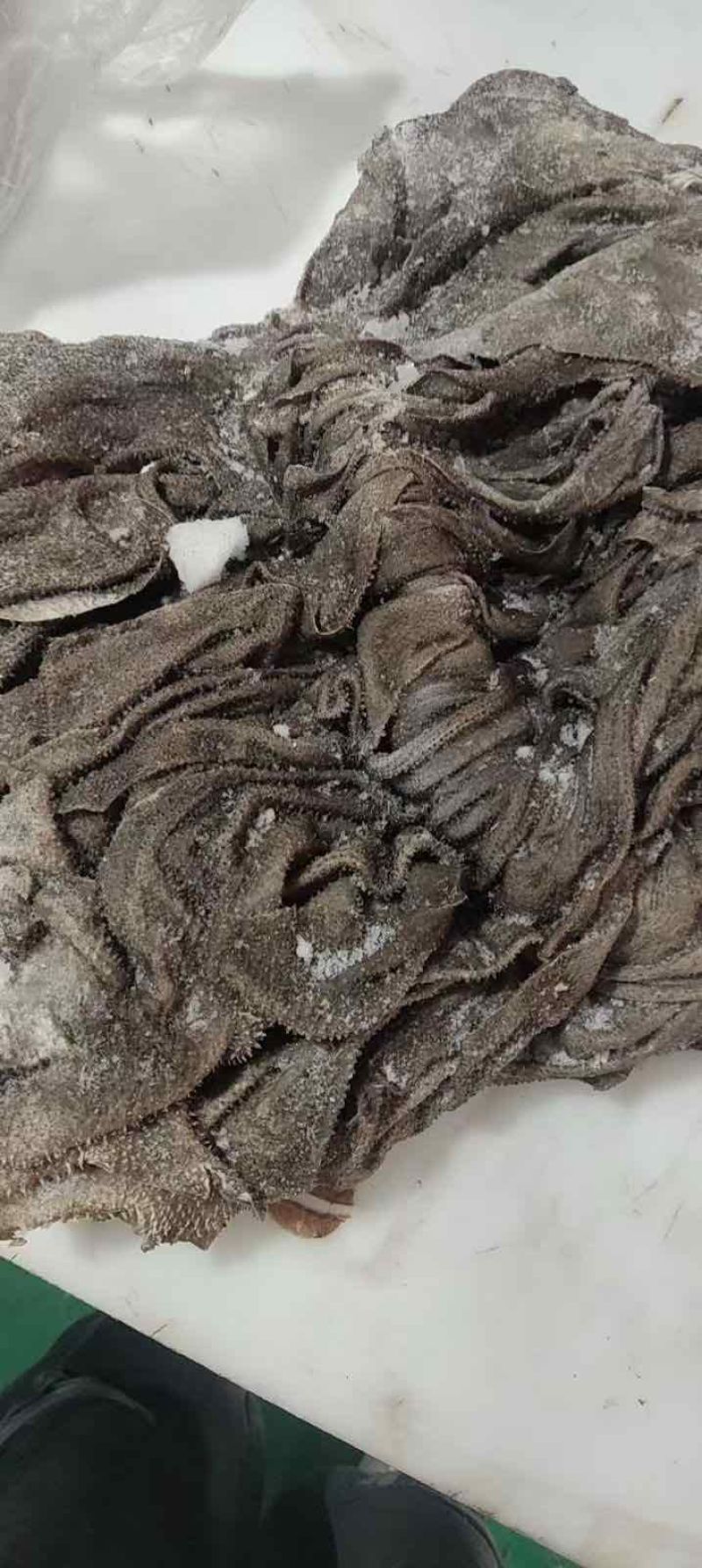牛百叶鲜货鲜冻冻货都有