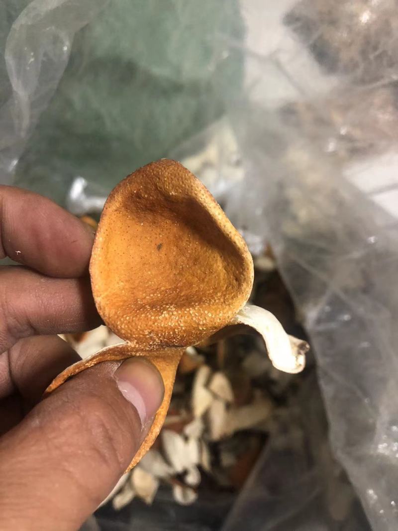 一手货源高品质新皮陈皮