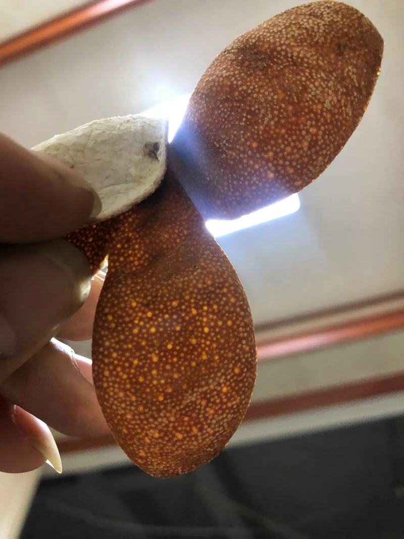 一手货源高品质新皮陈皮