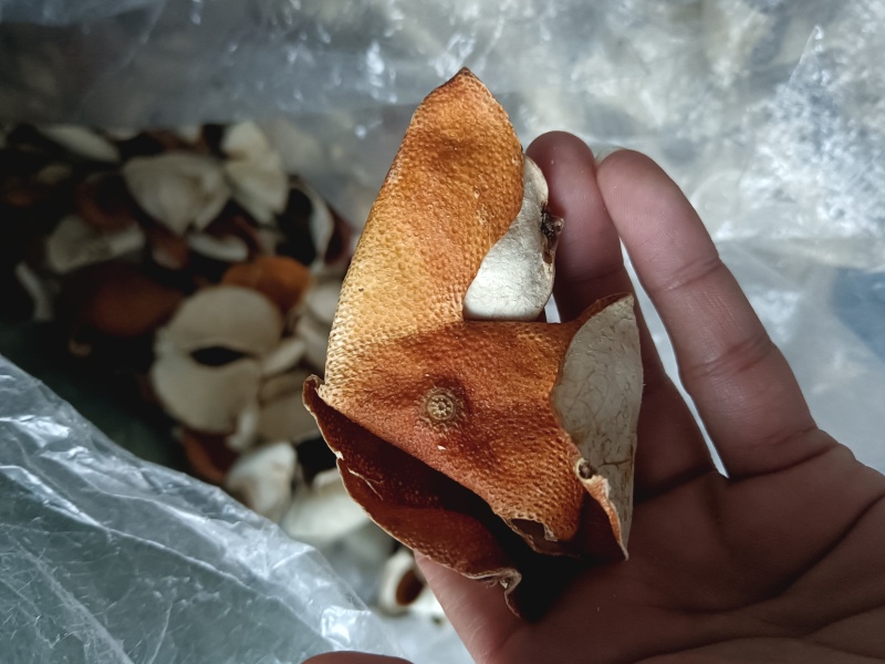 一手货源高品质新皮陈皮