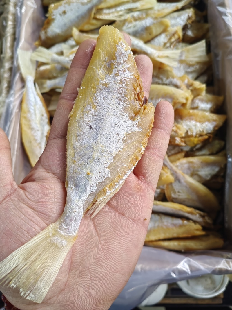 大目鱼目肉