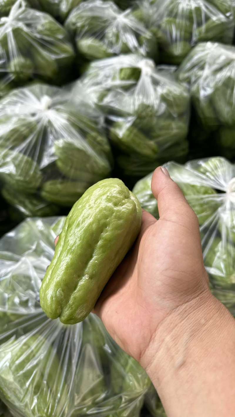 佛手瓜