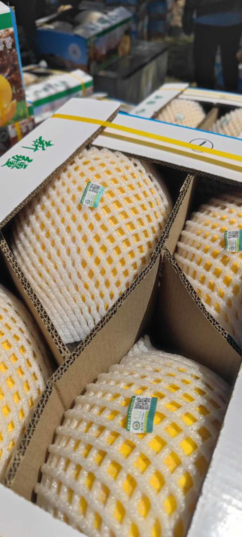 哈密市南湖哈密瓜，每个瓜带标签，4个一盒，单个5斤左右。