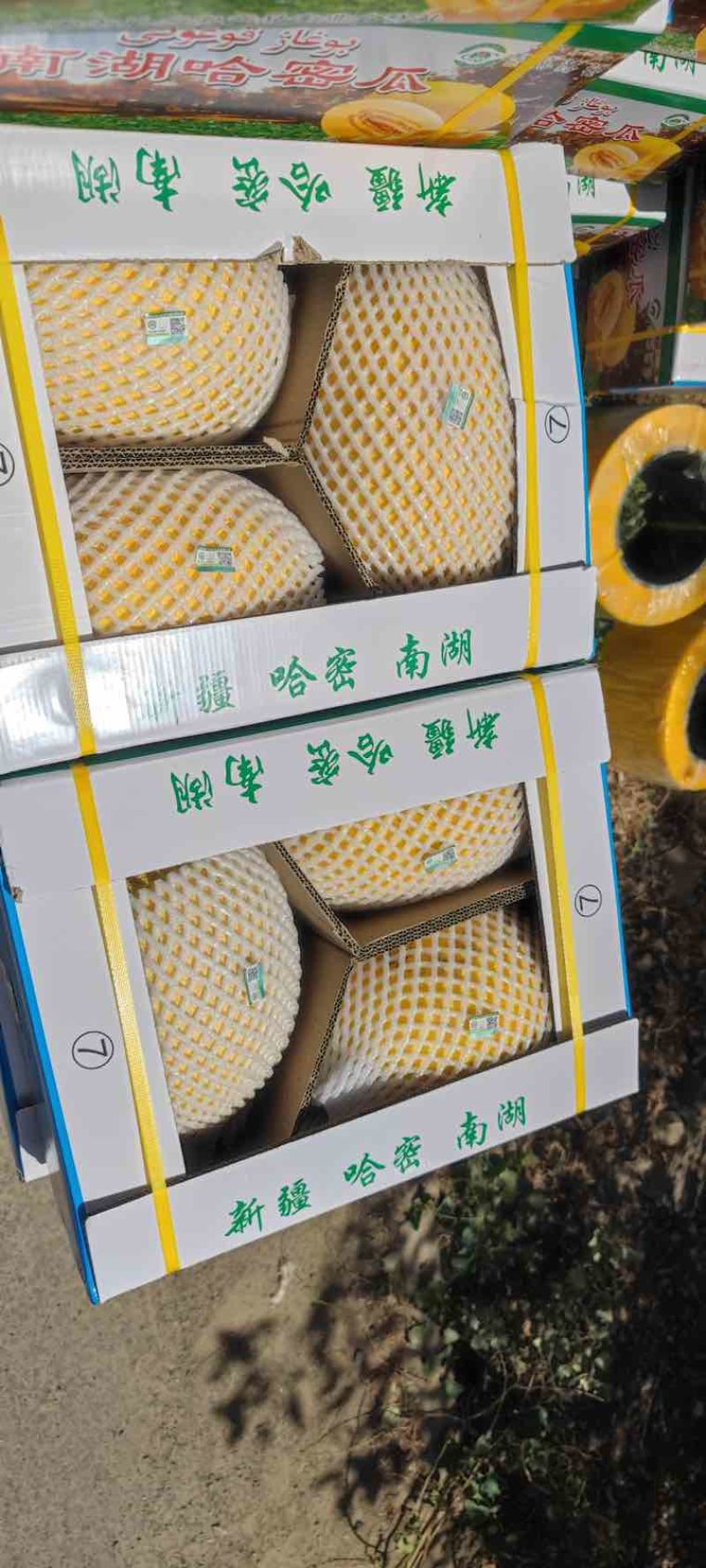 哈密市南湖哈密瓜，每个瓜带标签，4个一盒，单个5斤左右。