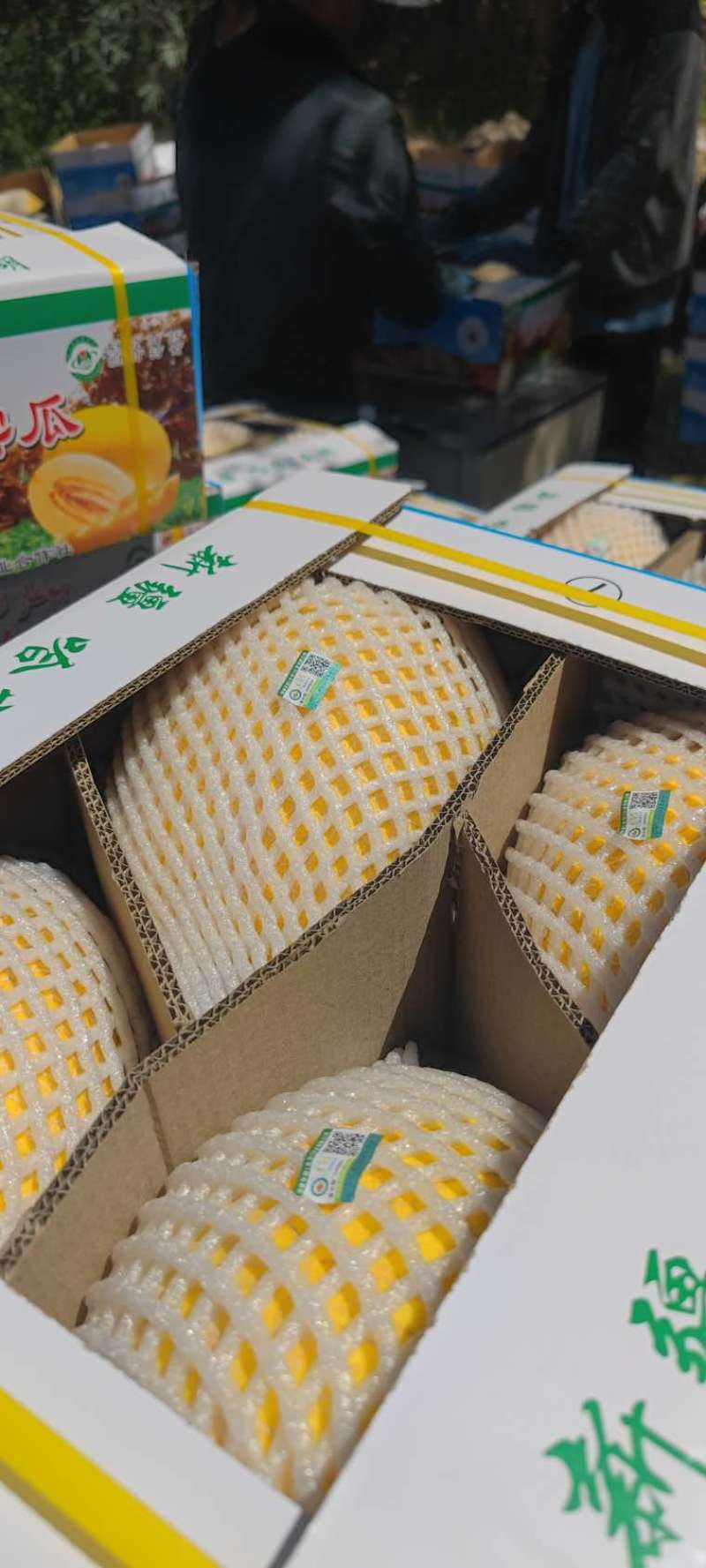 哈密市南湖哈密瓜，每个瓜带标签，4个一盒，单个5斤左右。