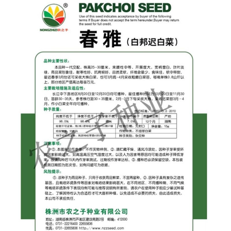 春雅迟帅全国独有白邦迟白菜小白菜蔬菜种子春秋阳台播种