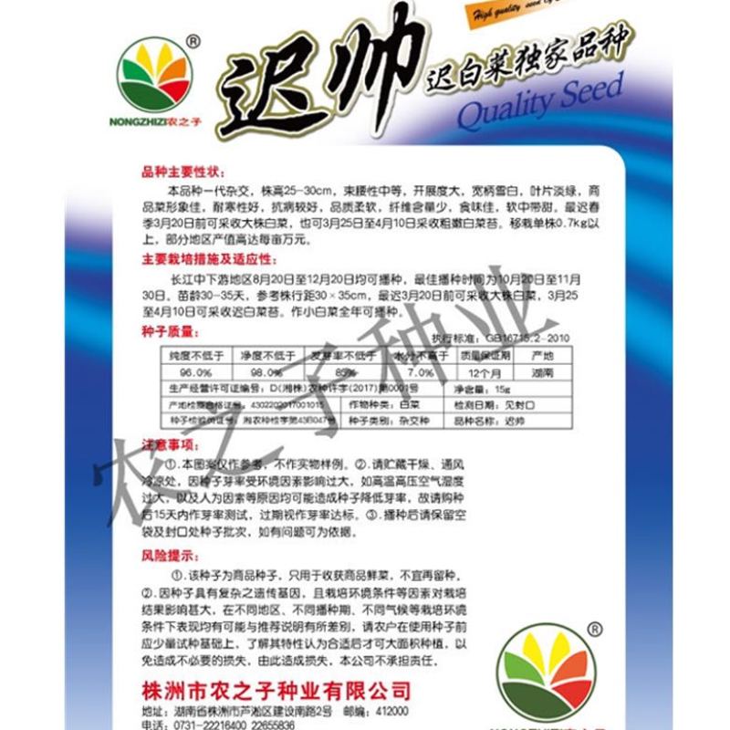 春雅迟帅全国独有白邦迟白菜小白菜蔬菜种子春秋阳台播种