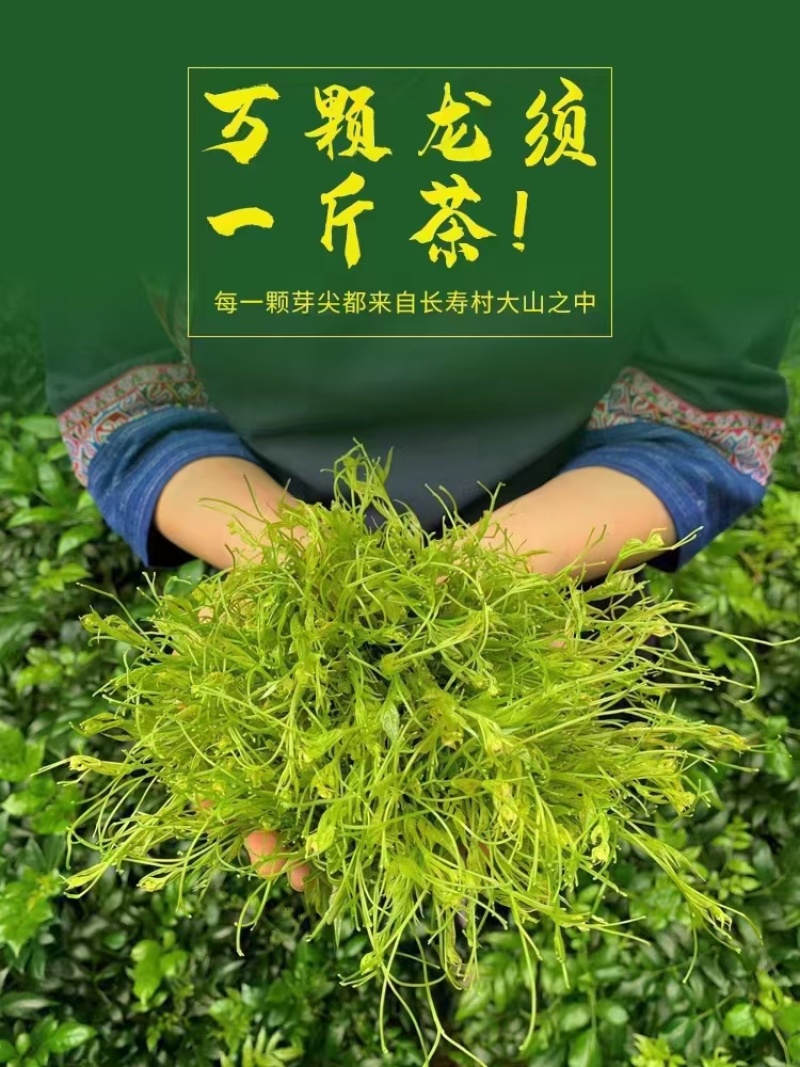 自家莓茶种植基地，资质齐全，无中间商赚差价