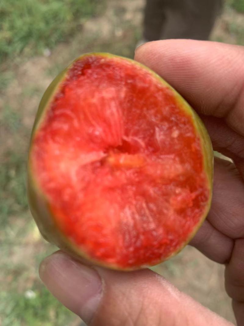 新疆味帝