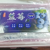 丹东自家蓝莓，现摘现发！