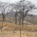 荒山荒地低价转让出租5800亩林地800亩56年限