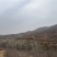 荒山荒地低价转让出租5800亩林地800亩56年限