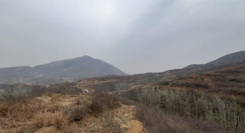 出租转让荒山荒地低价出售