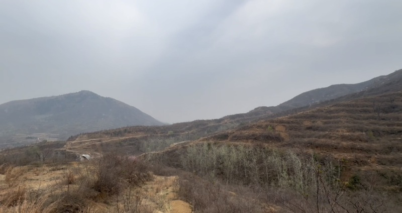 出租转让荒山荒地低价出售