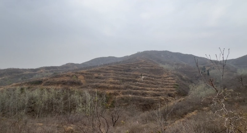 出租转让荒山荒地低价出售