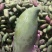红象牙芒果