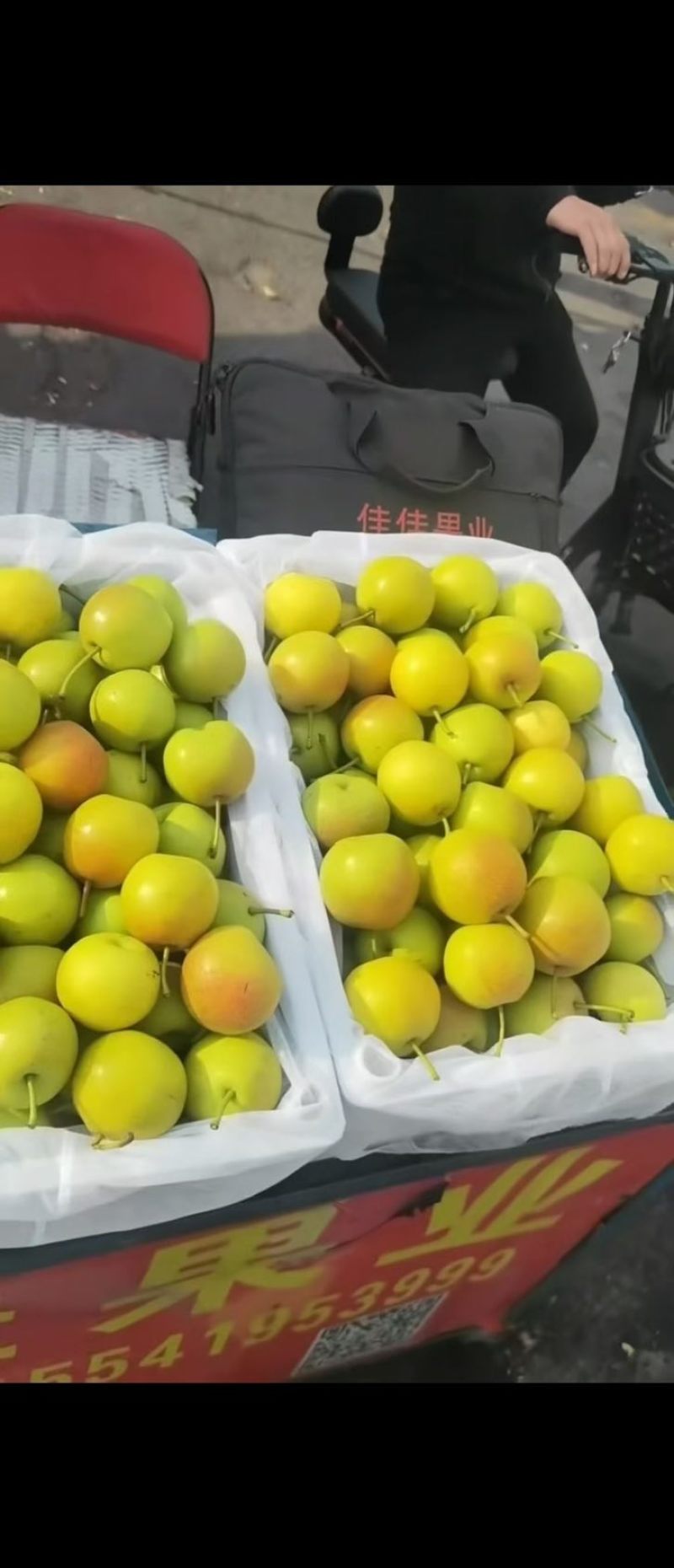 云南蜜梨
