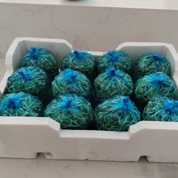生态土培黄豆苗，一托盘12个一斤袋装。