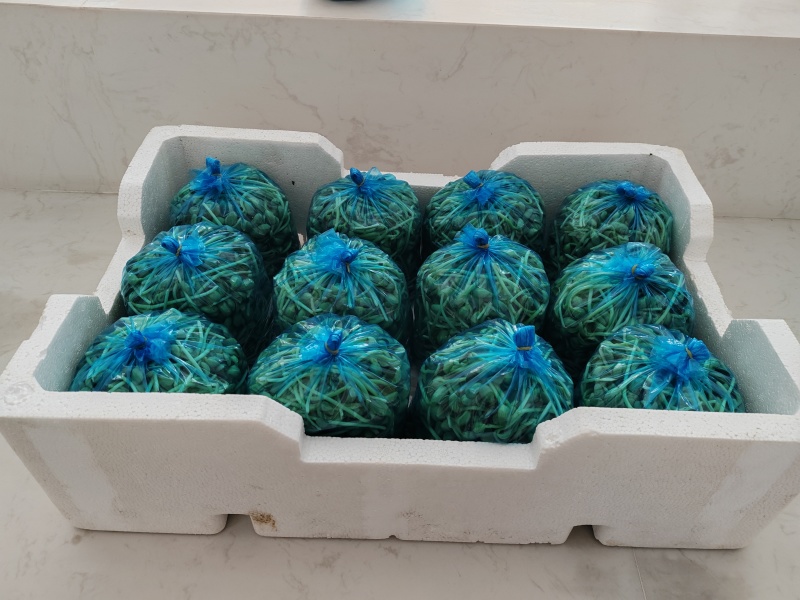 生态土培黄豆苗，一托盘12个一斤袋装。