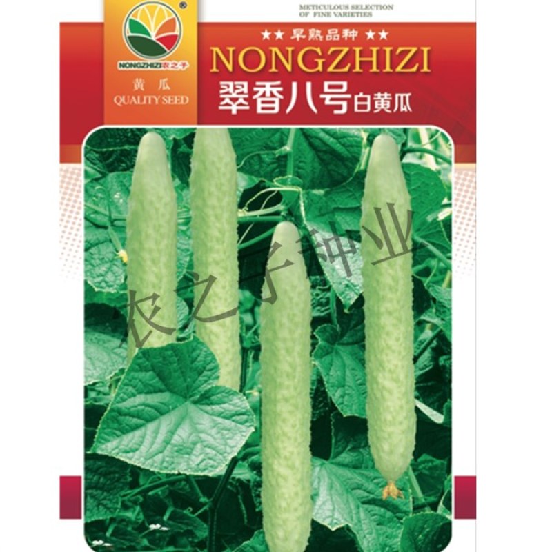 翠香六号白黄瓜翠香八号白黄瓜种子早熟高产商品性好春秋季