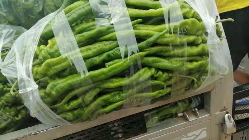 青红椒装入保鲜袋准备放入冰箱