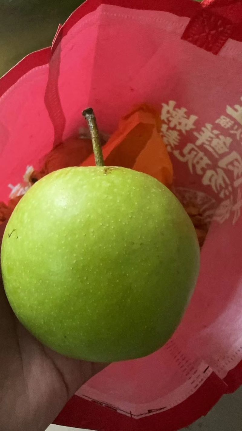 酥脆一号青皮梨万亩梨园皇冠梨绿宝石