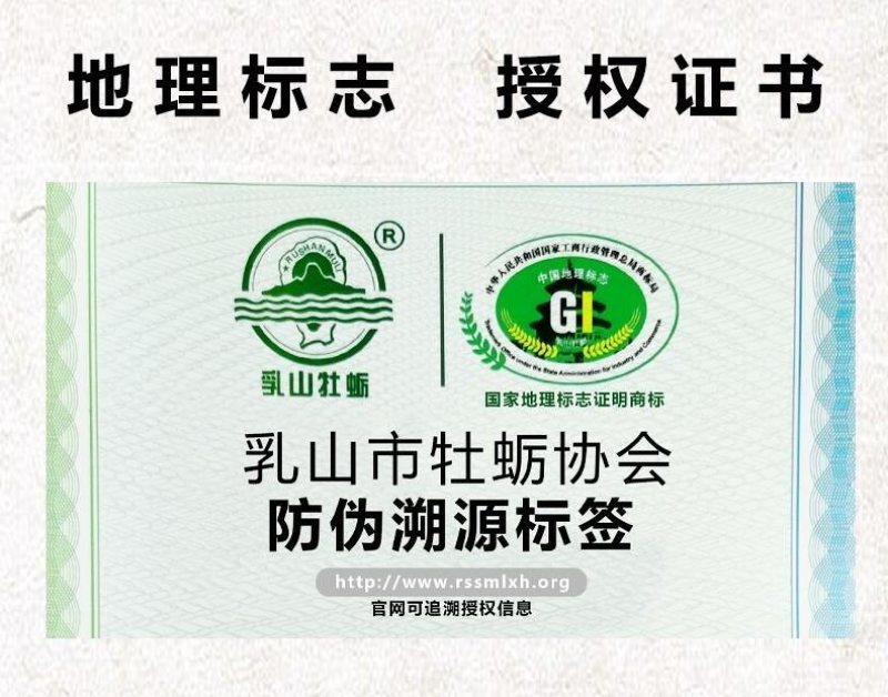 蚝之韵乳山生蚝，三倍体，乳山西黄岛生蚝养殖场，中国地标