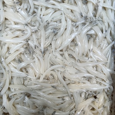 解冻质量和鲜货一样。