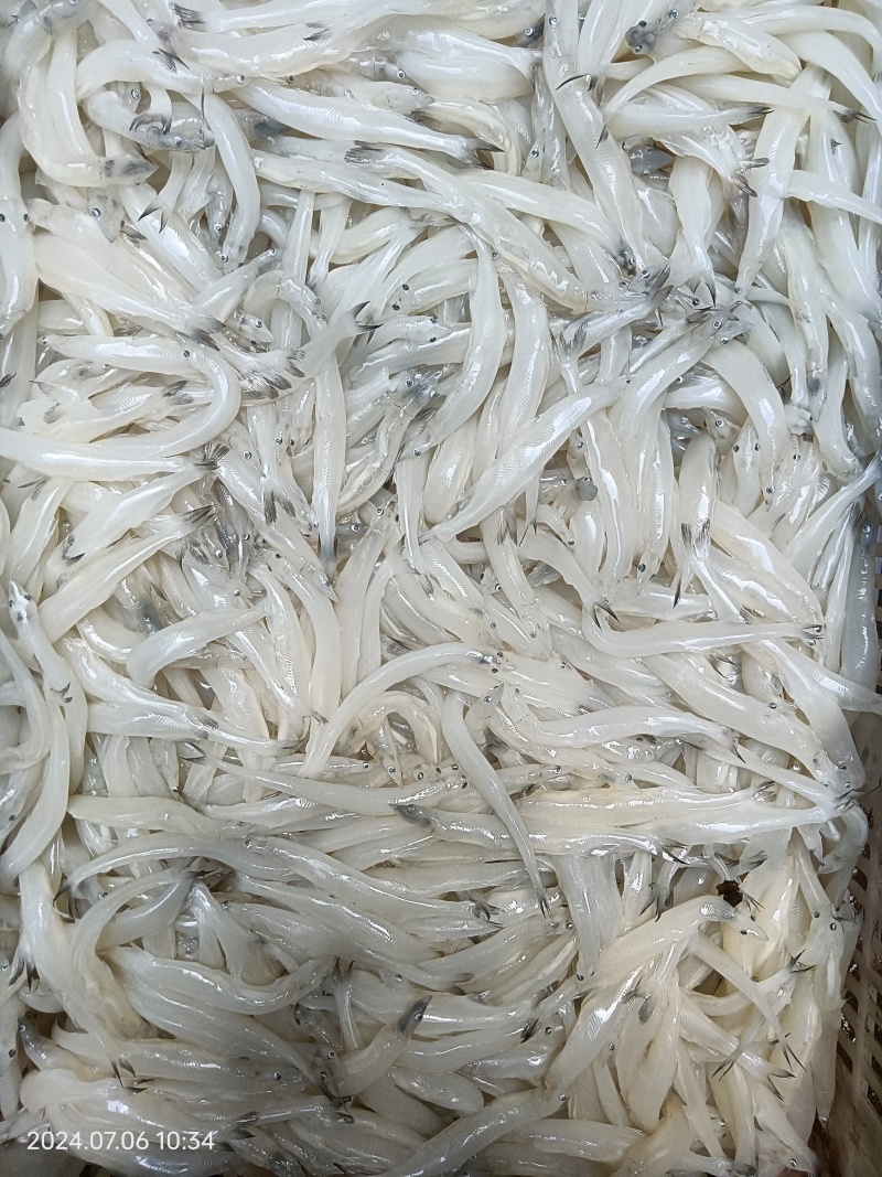 解冻质量和鲜货一样。