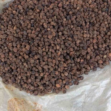烟熏青梅果，乌梅，梅子，几顿的量。有需要的可以联系
