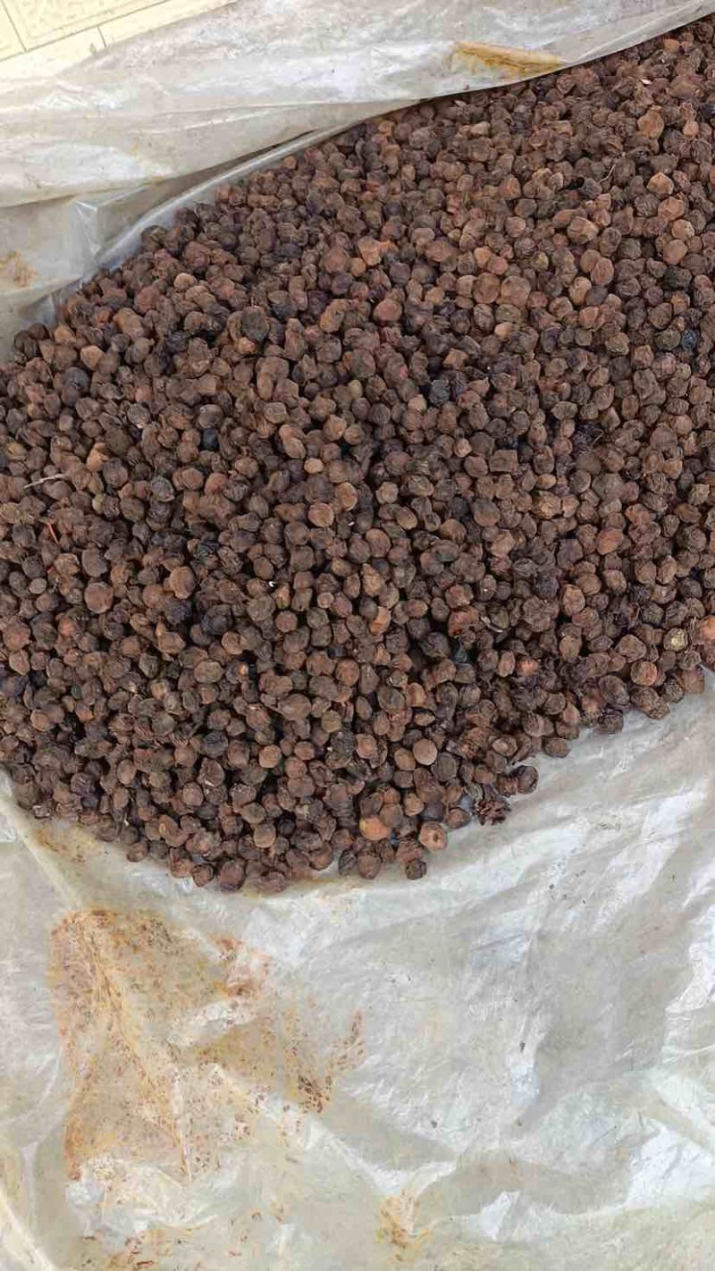烟熏青梅果，乌梅，梅子，几顿的量。有需要的可以联系