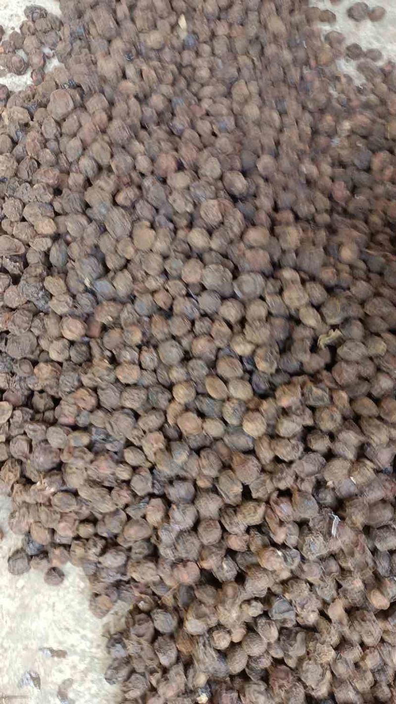 烟熏青梅果，乌梅，梅子，几顿的量。有需要的可以联系