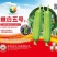 嫩白五号杂交一代油亮白关丝瓜神舟十五号太空育种基地专用