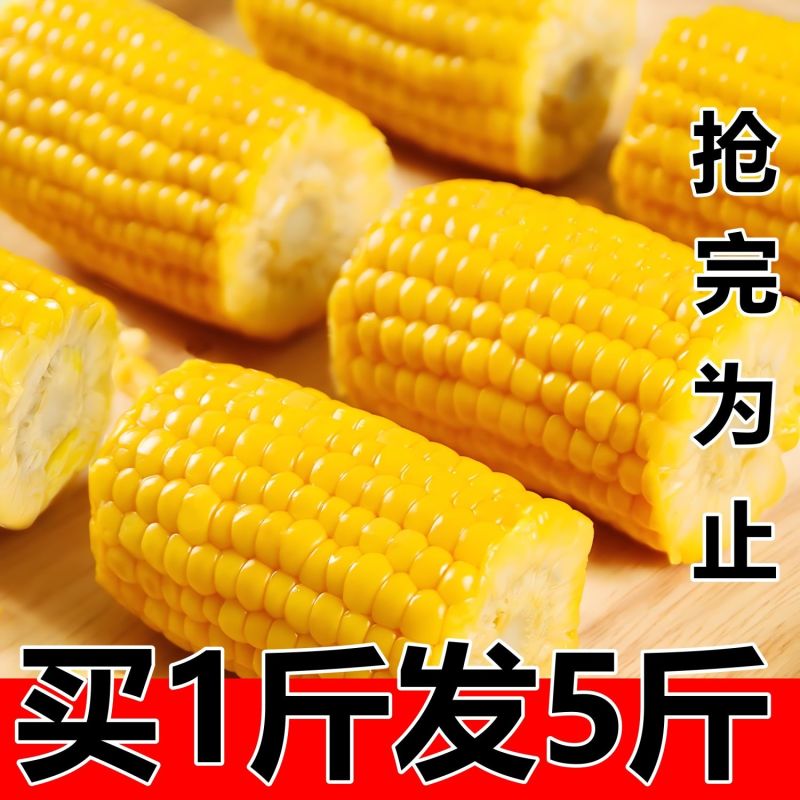 自己种的甜玉米