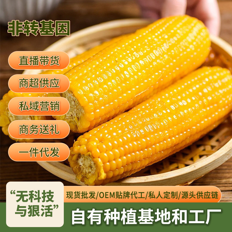 自己种的甜玉米